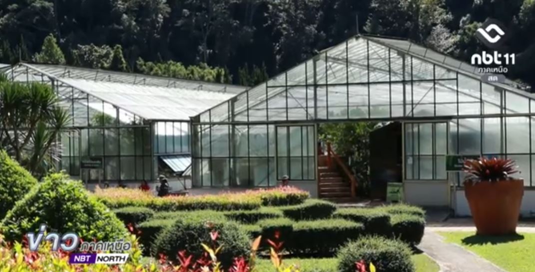 รายงาน ความรู้สึกผู้ถวายงานรับใช้ สมเด็จพระบรมราชชนนีพันปีหลวง