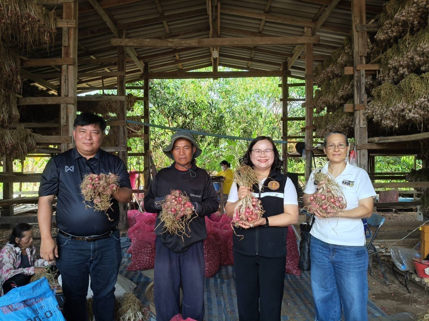 พาณิชย์ เกษตร ติดตามผลการเชื่อมโยงรับซื้อหอมแดงคุณภาพ และ สถานการณ์ทั่วไป จังหวัดลำพูน