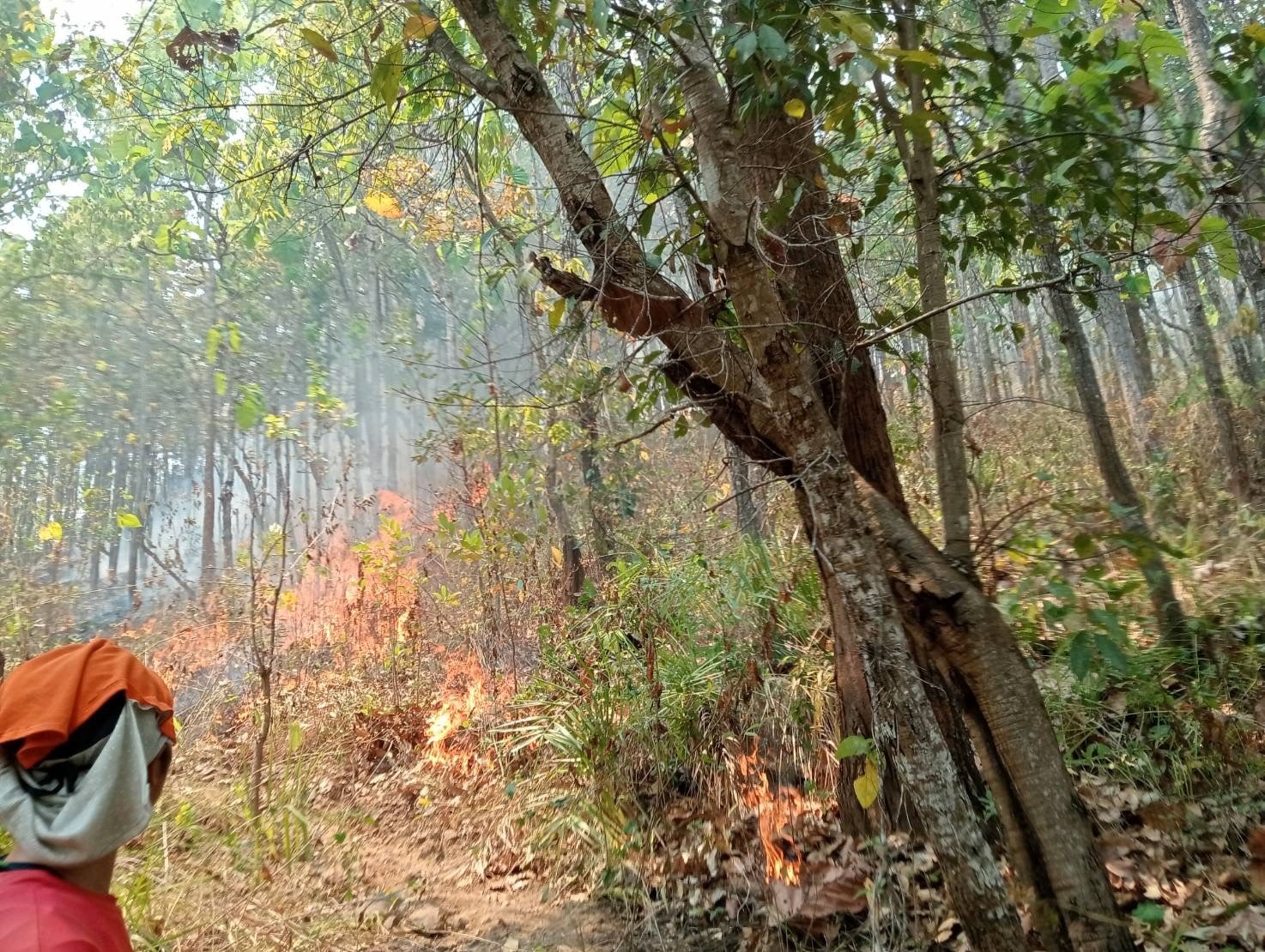 ศูนย์อำนวยการป้องกันและแก้ไขปัญหาไฟป่าฯ อ.แม่ออน สั่งการให้หน่วยงานที่เกี่ยวข้องดำเนินการตรวจสอบและควบคุมสถานการณ์ไฟป่าในพื้นที่ ตามจุดความร้อนรอบเช้า