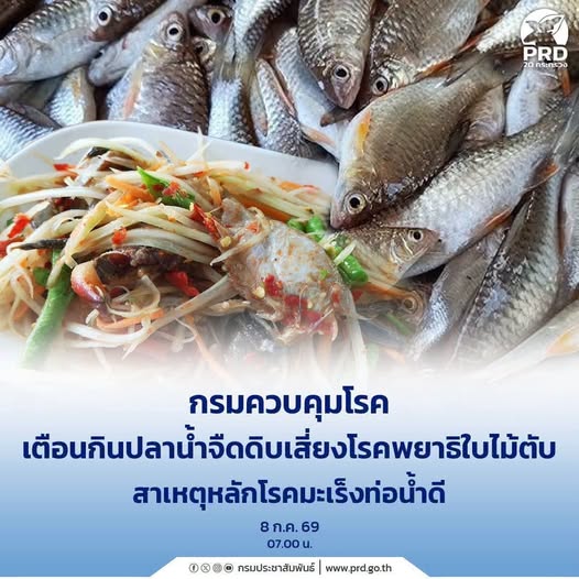กรมควบคุมโรค เตือนกินปลาน้ำจืดดิบเสี่ยงโรคพยาธิใบไม้ตับ สาเหตุหลักโรคมะเร็งท่อน้ำดี
