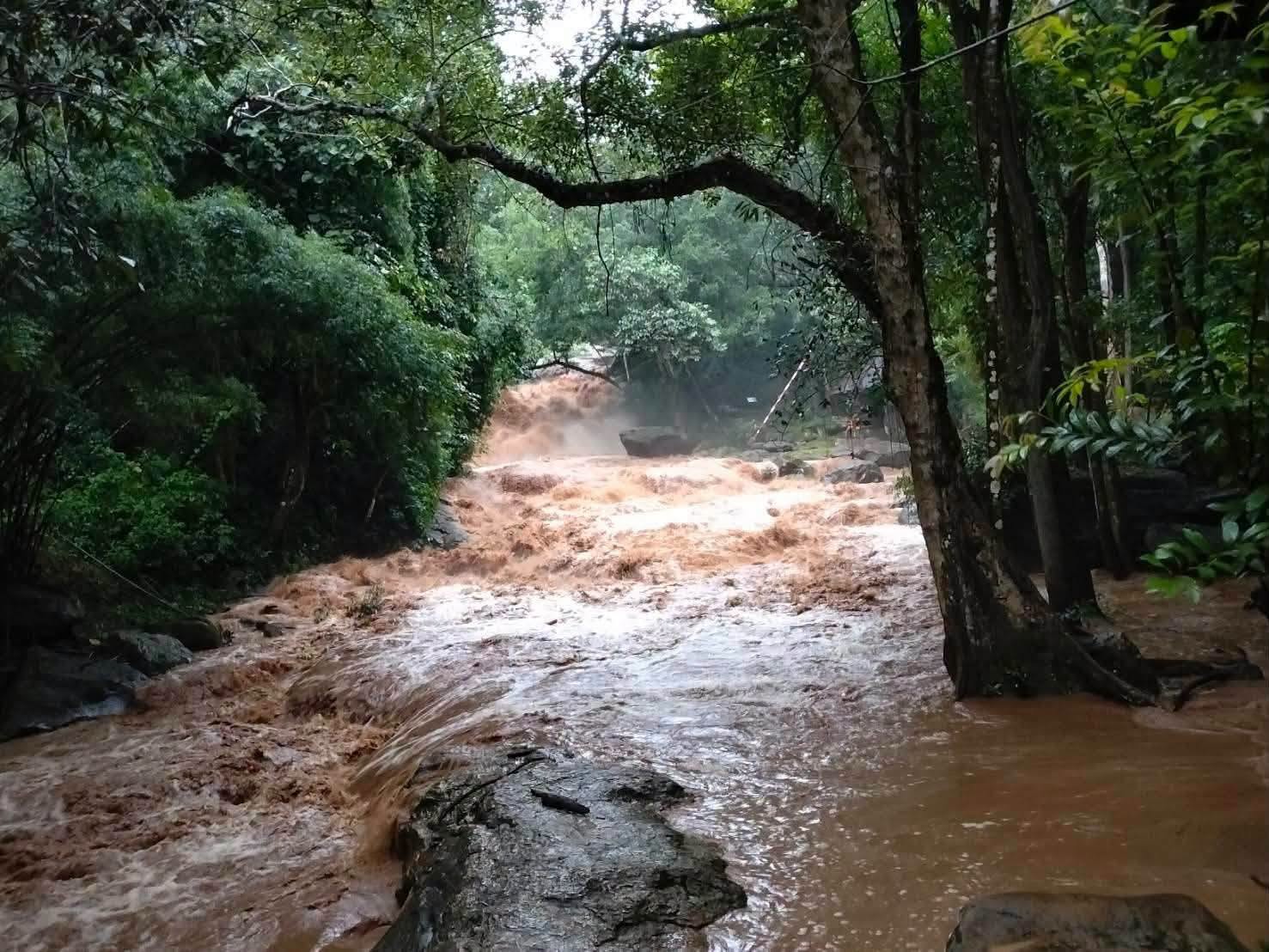 ปิดชั่วคราว! &ldquo;น้ำตกแม่สา&ndash;น้ำตกตาดหมอก&rdquo; ฝนตกหนัก น้ำเพิ่ม&ndash;ขุ่นแดง หวั่นไม่ปลอดภัยนักท่องเที่ยว