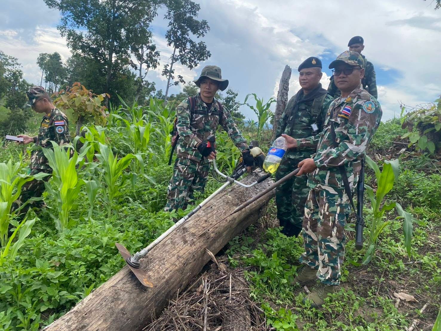 สนธิกำลัง!! ขับเคลื่อนนโยบาย &ldquo;ทส.1 เดียว&rdquo; ลุยตรวจยึดพื้นที่ป่าต้นน้ำไชยปราการ สกัดกั้นนายทุนบุกรุกปลูกขิง